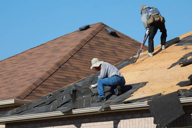 Best Metal Roofing Installation  in Hayfield, MN